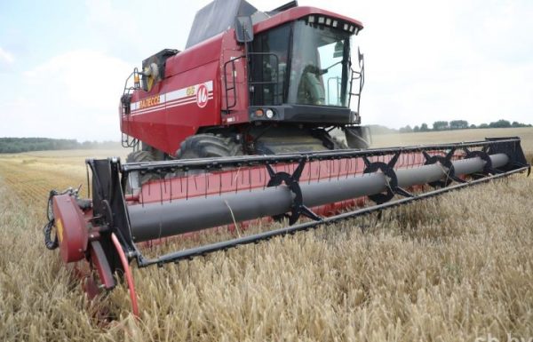 Сколько белорусов работает в сельском хозяйстве и какие у них зарплаты